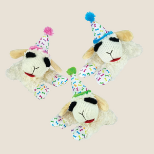 Multipet - Birthday Lamb Chop