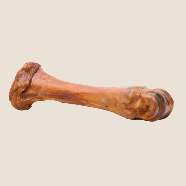 Shankzilla 2025 dog bone